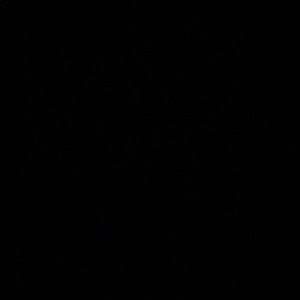 Meet your Posher, Chantel